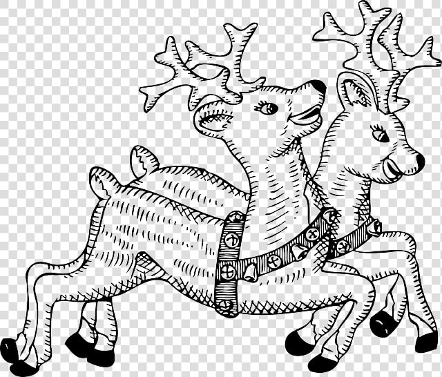 Animals  Cartoon  Deer  Template  Fly  Flying   Reindeers Clipart Black And White  HD Png DownloadTransparent PNG