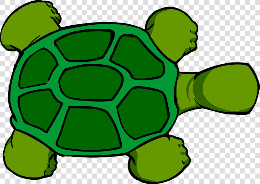 Turtle  Top  View  Animal  Green   Turtle Cartoon Top View  HD Png DownloadTransparent PNG