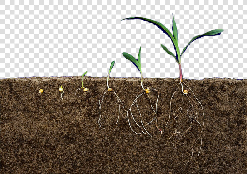 Transparent Soil Layers Clipart   Soil Layers Transparent  HD Png DownloadTransparent PNG