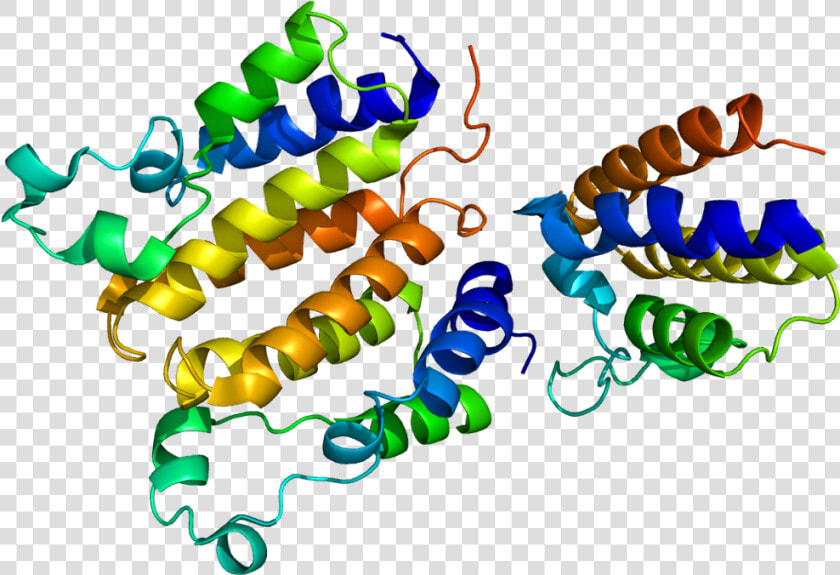 Protein Brd2 Pdb 1x0j  HD Png DownloadTransparent PNG