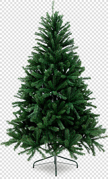 4 Ft Fraser Fir  HD Png DownloadTransparent PNG