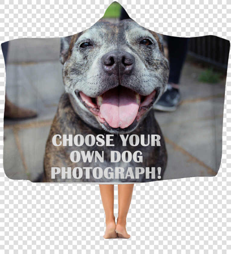 Your Pet On An Adult Hooded Blanket Class   Blanket  HD Png DownloadTransparent PNG