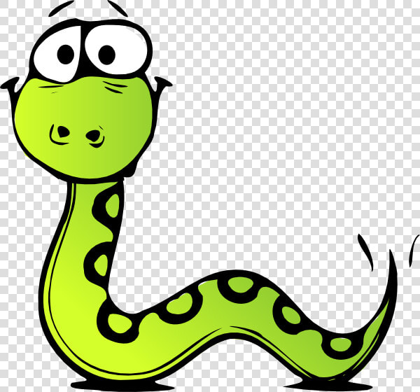 Boa Constrictor Clipart Transparent   Transparent Snake Clipart  HD Png DownloadTransparent PNG