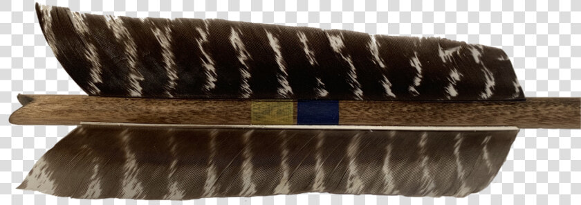 Extra Large  6 Inch Naturally Banded Feathers   Scabbard  HD Png DownloadTransparent PNG