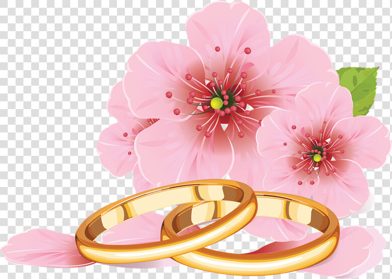 Palomas Con Anillos De Boda Png   Cherry Blossom Flower Drawing  Transparent PngTransparent PNG