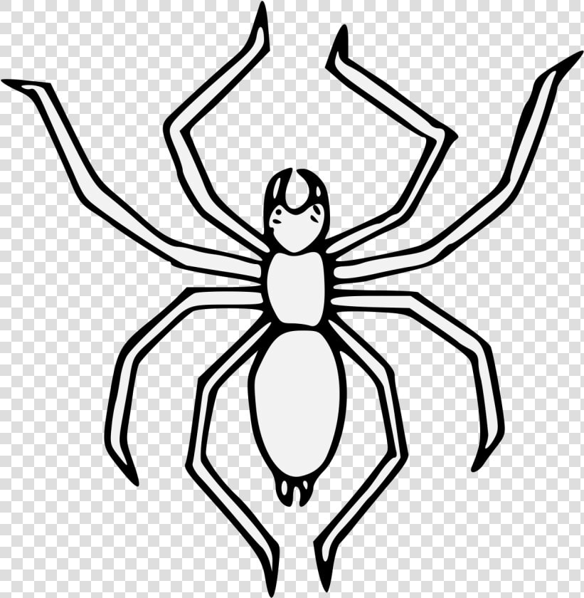 Spider Heraldry  HD Png DownloadTransparent PNG