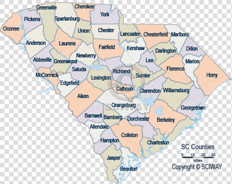 South Carolina Detailed County Maps On South Carolina   Map Of South Carolina  HD Png DownloadTransparent PNG