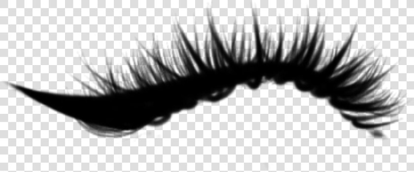  mily 💖  ciliosdeboneca  ciliosgrande  eyelashes   Eyelash Extensions  HD Png DownloadTransparent PNG