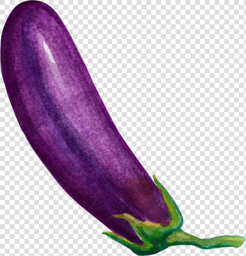 Eggplant Vegetable Cartoon   Eggplant Transparent  HD Png DownloadTransparent PNG