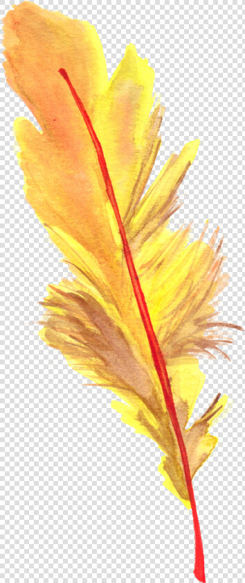  feather  feathers  ftestickers   Larix Lyalliisubalpine Larch  HD Png DownloadTransparent PNG