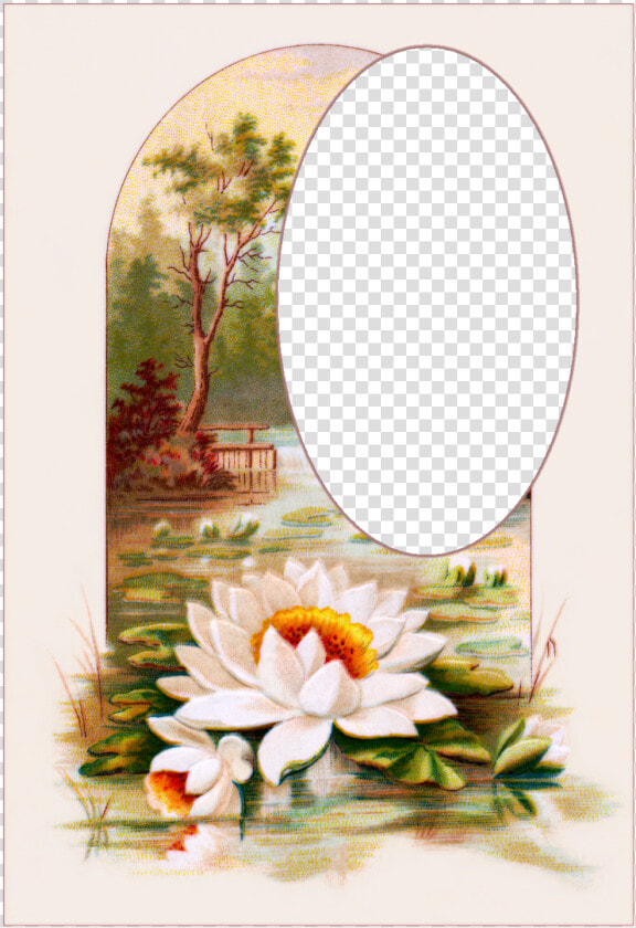 Vintage Postcards Flowers Free Picture  HD Png DownloadTransparent PNG