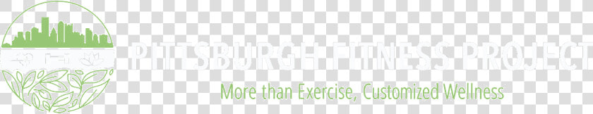 Pittsburgh Fitness Project   National Crime Prevention Council  HD Png DownloadTransparent PNG