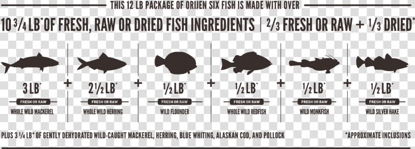 Orijen Six Fish Meatmath Formula And Cat Food Ingredients   Orijen Six Fish Ingredients  HD Png DownloadTransparent PNG