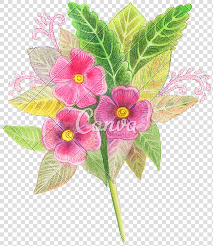 Hand Drawn Colored Pencils Of Red Flowers   Periwinkle  HD Png DownloadTransparent PNG