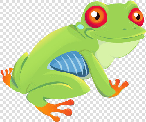 Red eyed Tree Frog  HD Png DownloadTransparent PNG