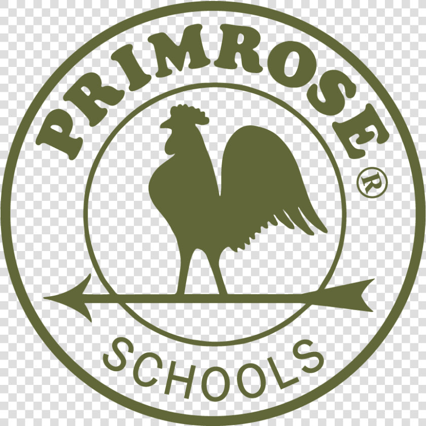 No School   Primrose School Logo  HD Png DownloadTransparent PNG