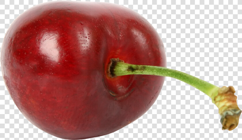 Tallo De Una Fruta  HD Png DownloadTransparent PNG