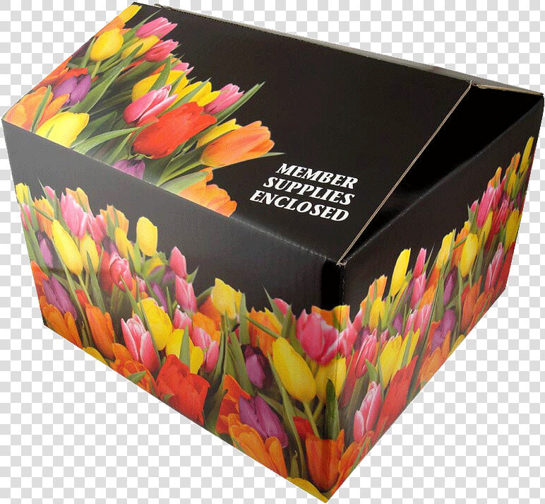 Shipping Box   Full Color Shipping Box  HD Png DownloadTransparent PNG