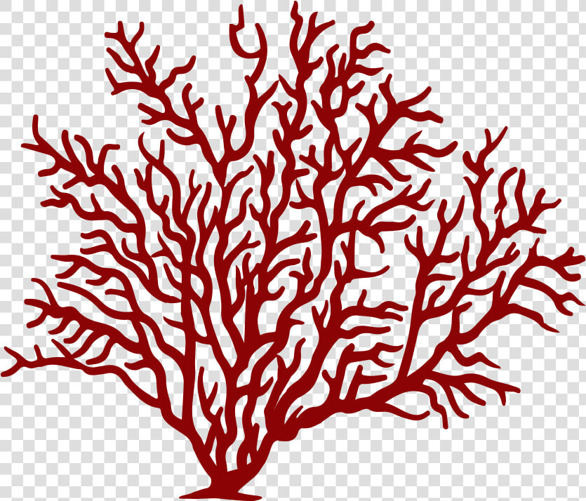 Watercolor Coral Png   Coral Clipart Png  Transparent PngTransparent PNG