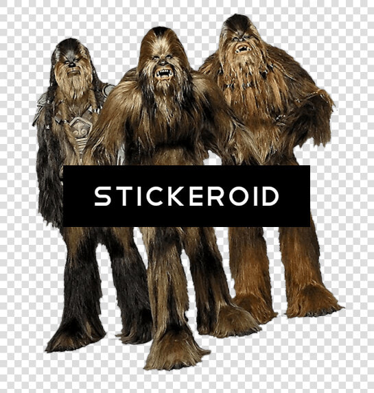 Star Wars   Png Download   Wookie Races  Transparent PngTransparent PNG