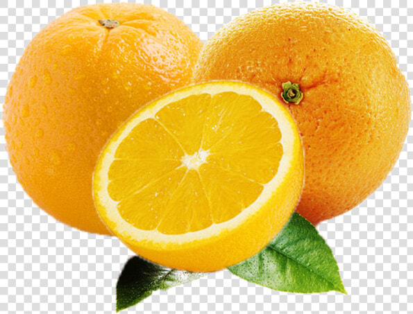 Orange Fruit Png Images Free Download Searchpng   Orange  Transparent PngTransparent PNG