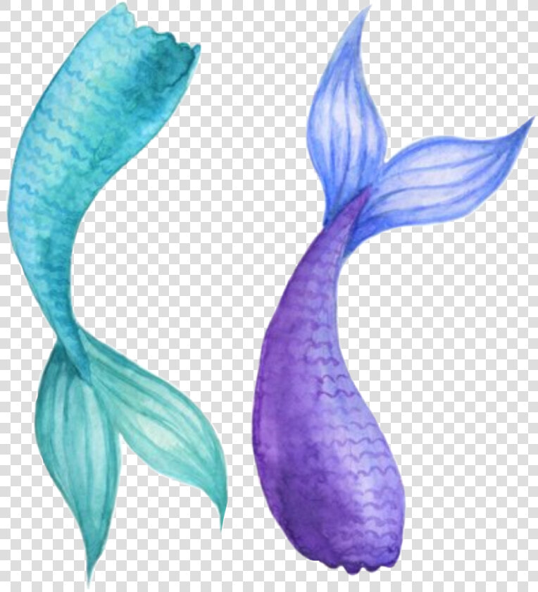  watercolor  mermaidtail  mermaid  tail  teal  purple   Mermaid Tail Watercolor  HD Png DownloadTransparent PNG