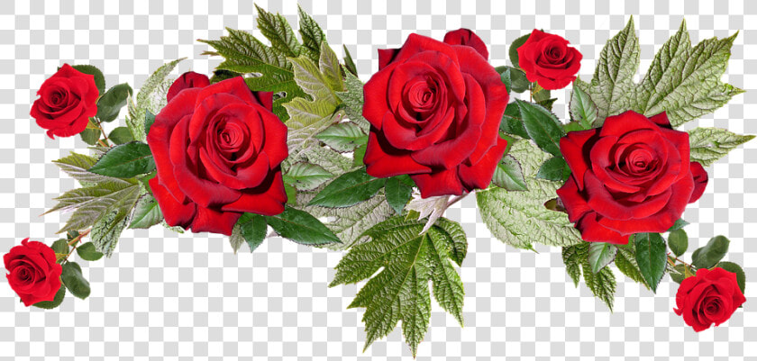 Red Flowers Png Image With Transparent Background   Transparent Background Red Flowers Png  Png DownloadTransparent PNG