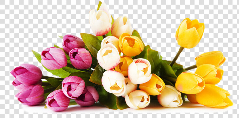 Tulip Clipart Psd   Relationship Love Messages In Hindi  HD Png DownloadTransparent PNG