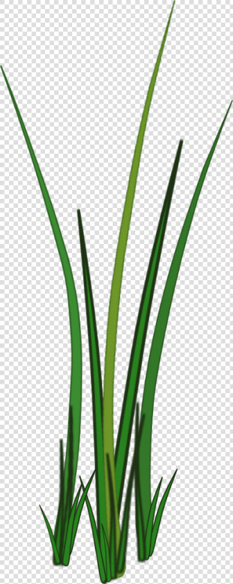 Grass Png Texture   Texture Grass 2d Png  Transparent PngTransparent PNG