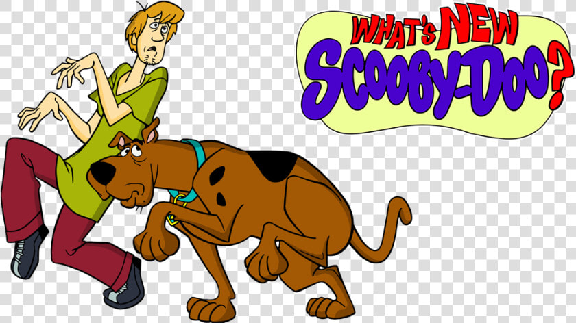 Transparent Scooby Doo Clipart   What  39 s New Scooby Doo Png  Png DownloadTransparent PNG