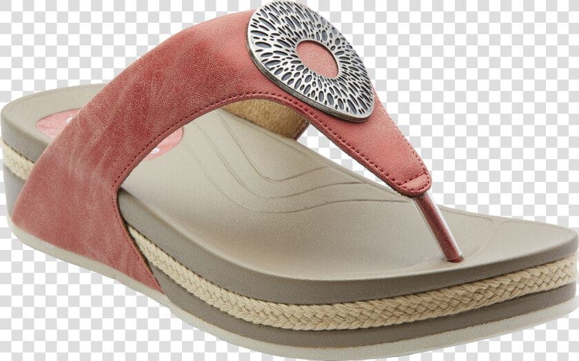 Transparent Ladies Shoes Png   Ladies Footwear Logo Png  Png DownloadTransparent PNG