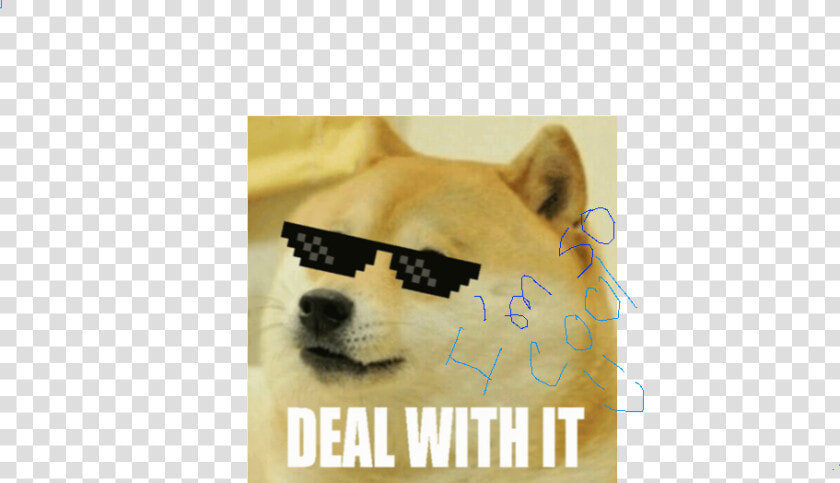 Transparent Doge Png   Doge Real  Png DownloadTransparent PNG