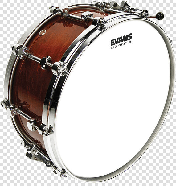 Drumhead  HD Png DownloadTransparent PNG