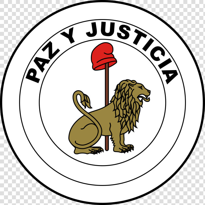 Paraguay Flag Paz Y Justicia  HD Png DownloadTransparent PNG