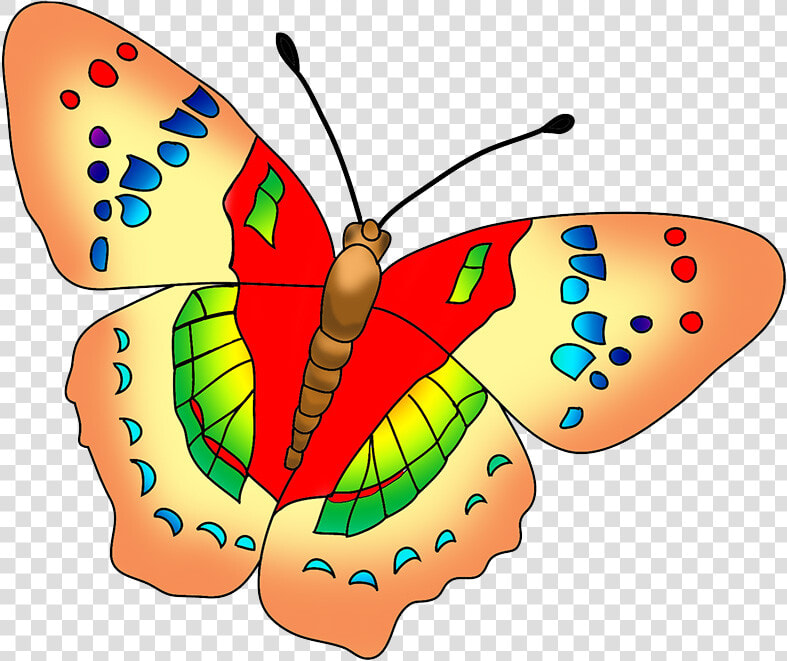 Multicolored Butterfly Image   Beautiful Butterfly Clip Art  HD Png DownloadTransparent PNG