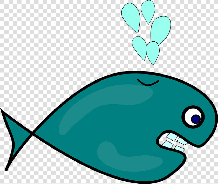 Whales   Png Download   Big Fish Clipart  Transparent PngTransparent PNG