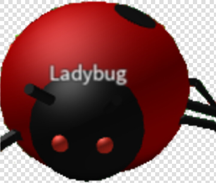 Ladybug Bee Swarm Simulator  HD Png DownloadTransparent PNG