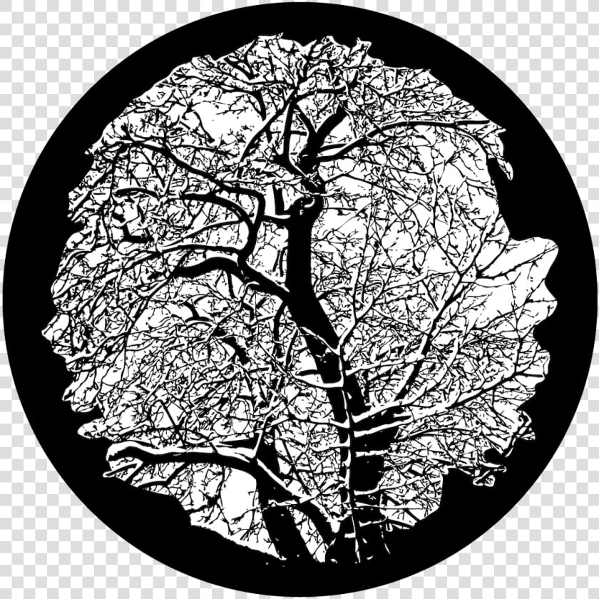 Apollo Winter Tree   Glass Gobo Tree  HD Png DownloadTransparent PNG