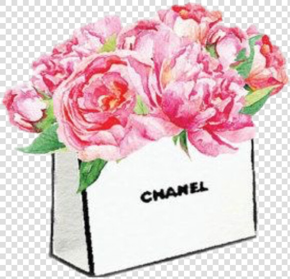 Marmont Hill Peonies  HD Png DownloadTransparent PNG