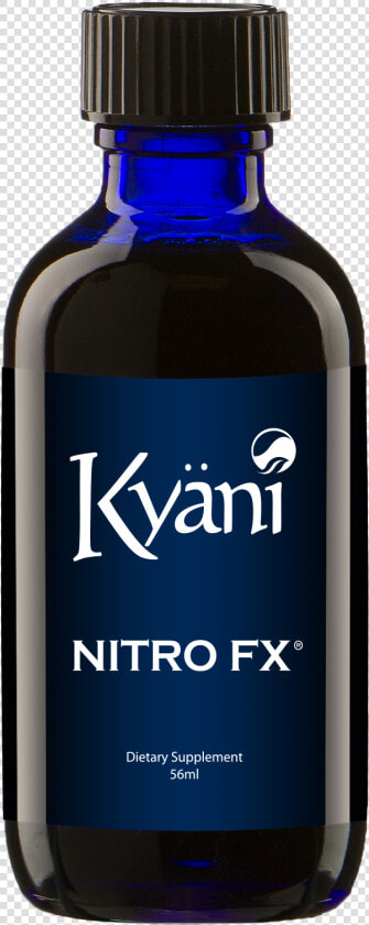 Kyani Logo Png  Transparent PngTransparent PNG