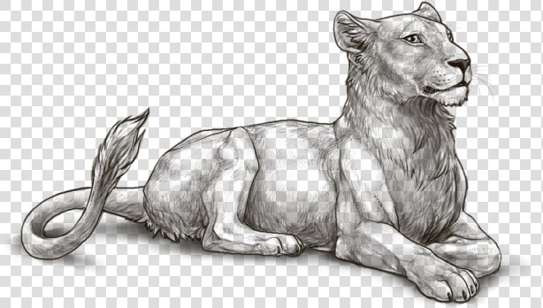 Lioness And Cubs Png  Transparent PngTransparent PNG