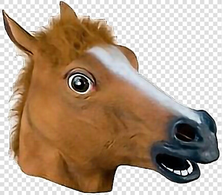  ftestickers  horse  funny  head  animal  freetoedit   Cabeza De Caballo Ale Hop  HD Png DownloadTransparent PNG