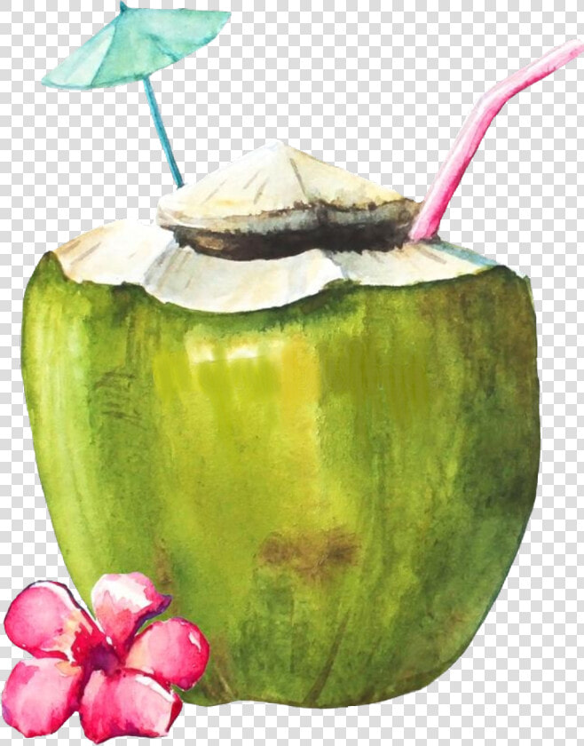  coconut  coconutdrink  scbeachessentials  beachessentials   Green Coconut With Straw Painting  HD Png DownloadTransparent PNG