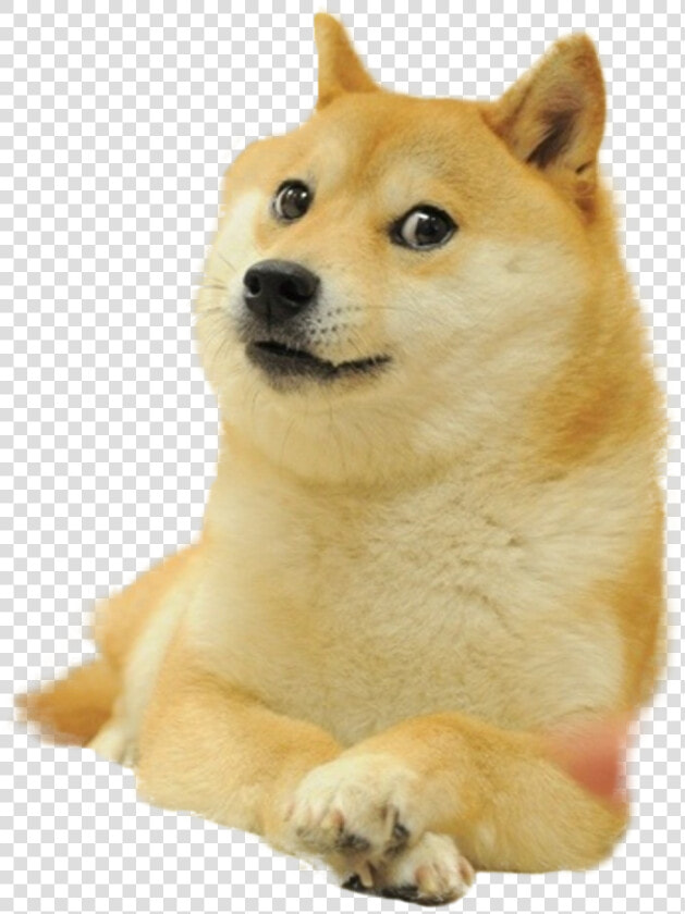 Doge Cutout  HD Png DownloadTransparent PNG