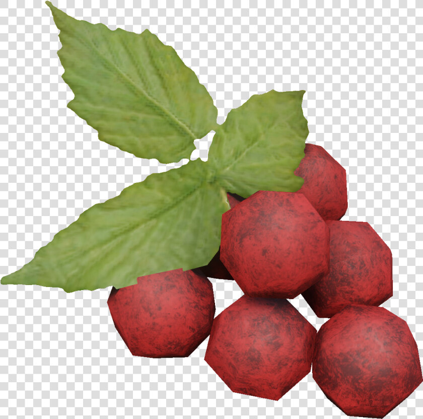 Miscreated Wiki   Seedless Fruit  HD Png DownloadTransparent PNG