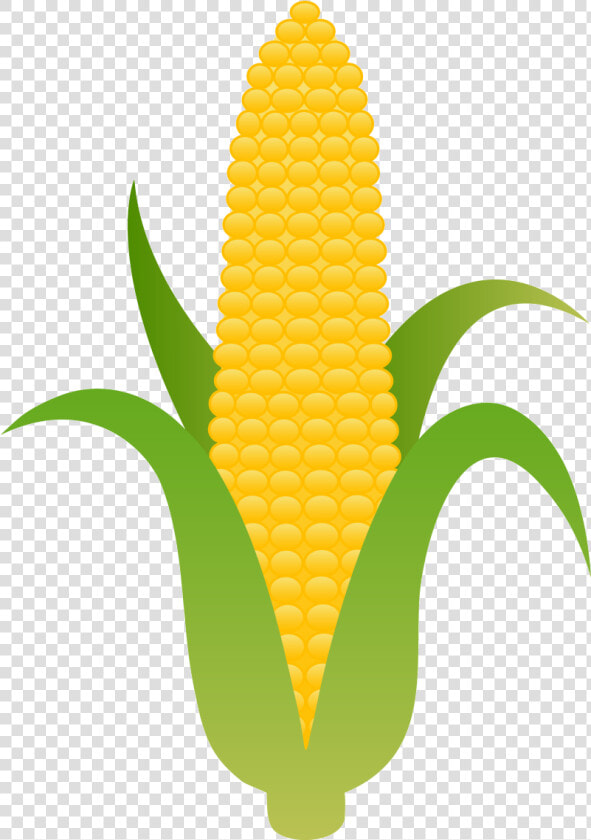 Corn Clipart Aztec Clip Art Of Free Transparent Png   Corn Clipart  Png DownloadTransparent PNG