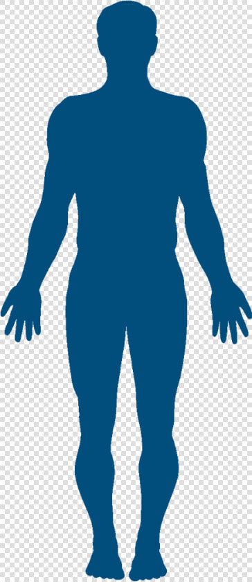 Vector Graphics Clip Art Silhouette Human Body Stock  HD Png DownloadTransparent PNG