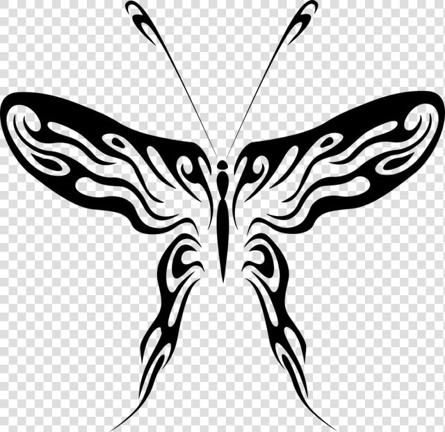 Abstract Butterfly Line Drawing Clipart   Png Download   Butterfly Line Art Png  Transparent PngTransparent PNG