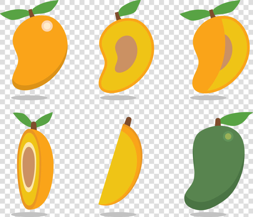 Mango Fruit Vector Free Download   Fruit Mango Vector  HD Png DownloadTransparent PNG