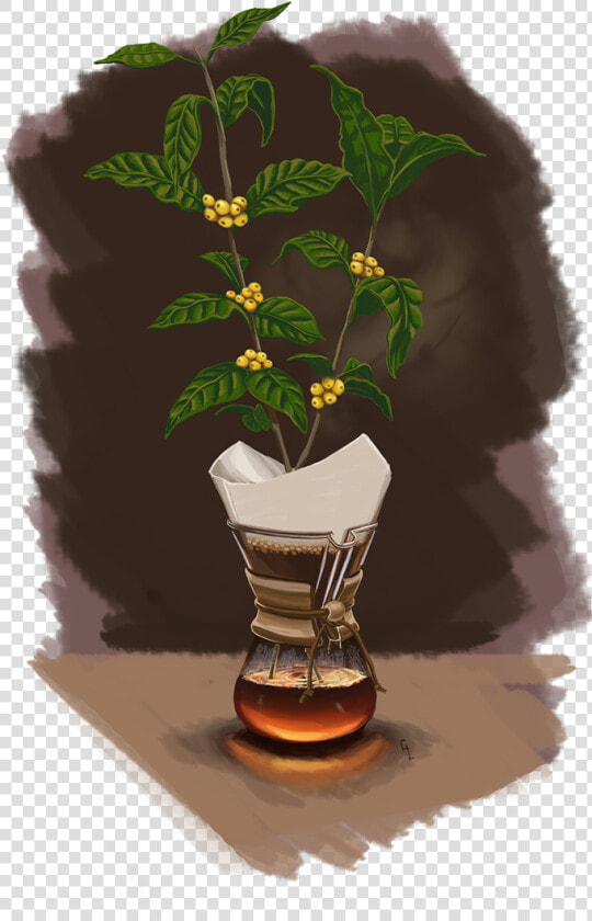 Houseplant  HD Png DownloadTransparent PNG